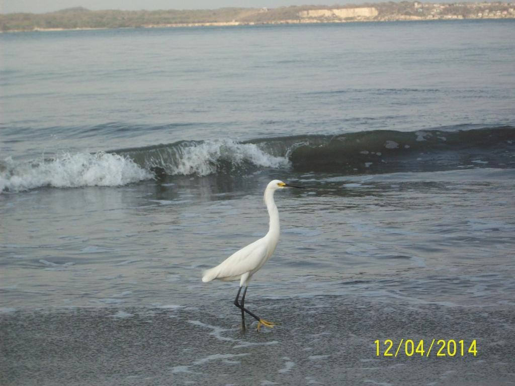 דירות Cartagena Apartamento Laguito Frente Al Mar מראה חיצוני תמונה